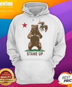 Awesome Stand Up to Ice Bear Hoodie featuring a stylish design and vibrant colors, perfect for fans of the series.