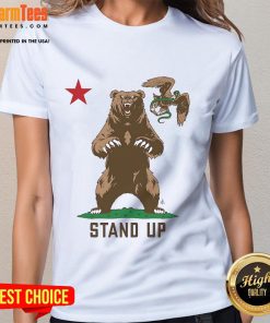 Awesome Stand Up to Ice Bear Ladies Tee featuring a stylish design perfect for fans of the show and casual wear.