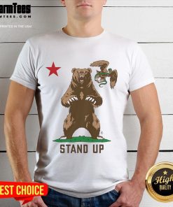 Alt Text: Awesome Stand Up To Ice Bear T-Shirt featuring a graphic of Ice Bear in a cool design, perfect for fans and collectors.