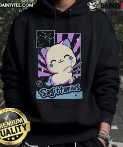 Alt Text: Cute astrology kawaii Sagittarius hoodie featuring a vibrant design and playful graphics for zodiac lovers.