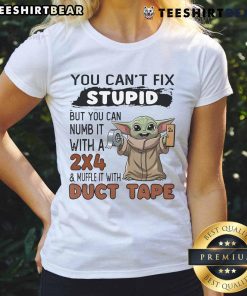 Cute Baby Yoda graphic on a ladies tee with the phrase 'You can't fix stupid, but you can numb it with a 2x4.'