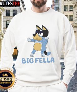 Alt Text: Cute big fella wearing a blue dog sweatshirt, showcasing a playful design and cozy fit for pet lovers.