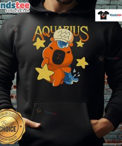 Adorable cute capybara Aquarius hoodie design featuring a capybara in a zodiac theme, perfect for astrology lovers.