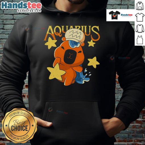 Adorable cute capybara Aquarius hoodie design featuring a capybara in a zodiac theme, perfect for astrology lovers.