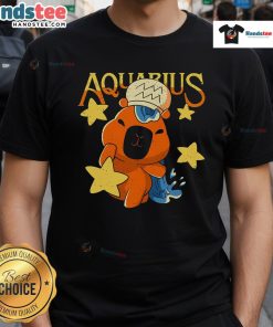 Alt Text: Cute Capybara Aquarius T-Shirt featuring an adorable capybara illustration and zodiac-inspired design on soft fabric.