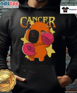 Adorable capybara wearing a cancer-themed hoodie, perfect for animal lovers and cancer awareness supporters.