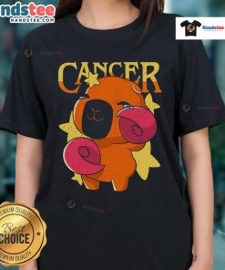 Cute capybara cancer ladies tee featuring an adorable capybara design, perfect for cancer awareness and animal lovers.