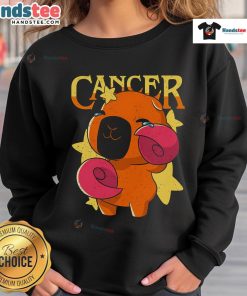 Cute capybara cancer sweatshirt featuring an adorable capybara design, perfect for animal lovers and cancer awareness.