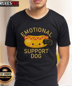 Alt Text: Cute emotional support dog wearing a 'You Can Do It' hot dog t-shirt, spreading positivity and joy.