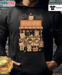 Alt Text: Cute fantasy laundry cats hoodie featuring whimsical cat illustrations in vibrant colors, perfect for cat lovers.