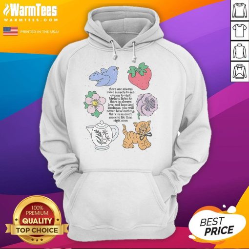 Cozy hoodie with 'There Are Always More Sunsets to See' design, perfect for sunset lovers and casual wear.