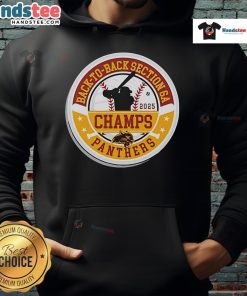 Alt Text: Official Panther Baseball 2025 Section Champions hoodie celebrating back-to-back Section 6A victories.