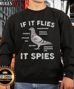 Funny If It Flies It Spies pigeon anatomy design on a cozy sweatshirt for bird lovers.