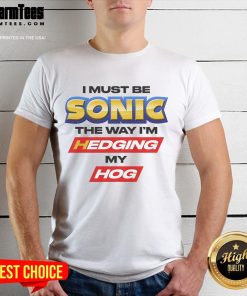Good I Must Be Sonic The Way I'm Hedging My Hog T-Shirt featuring a playful graphic and vibrant colors, perfect for fans.