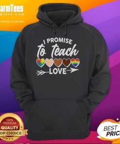 Alt Text: Hot I Promise To Teach Love Diversity Equality Hoodie featuring a vibrant design promoting inclusivity and acceptance.