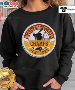 Alt Text: Official Panther Baseball 2025 Section Champions sweatshirt celebrating back-to-back Section 6A victories.
