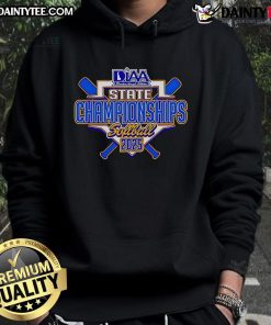 2025 DIAA State Softball Championships hoodie logo featuring vibrant design and team spirit for fans and players.