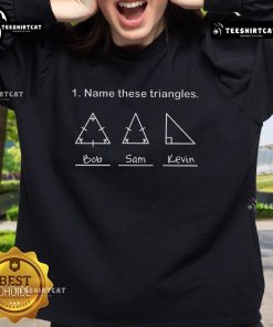 Alt Text: Official Name These Triangles Sweatshirt featuring a colorful triangle graphic on a cozy, stylish design.