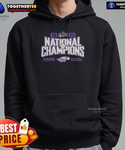 Alt Text: Official Wisconsin Whitewater Warhawks 2025 NCAA Division III Baseball Super Regional Champions hoodie in navy blue.