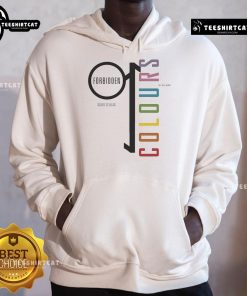 Premium David Sylvian Forbidden Colours hoodie in rainbow design, showcasing 'My Love Wears Pride' message.