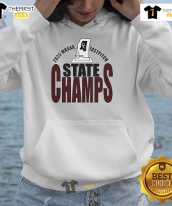 Top 2025 MHSAA Fastpitch State Champs hoodie in vibrant colors, celebrating high school softball champions.