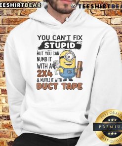 Alt Text: Top Minion hoodie with the phrase 'You can't fix stupid, but you can numb it with a 24' in bold colors.