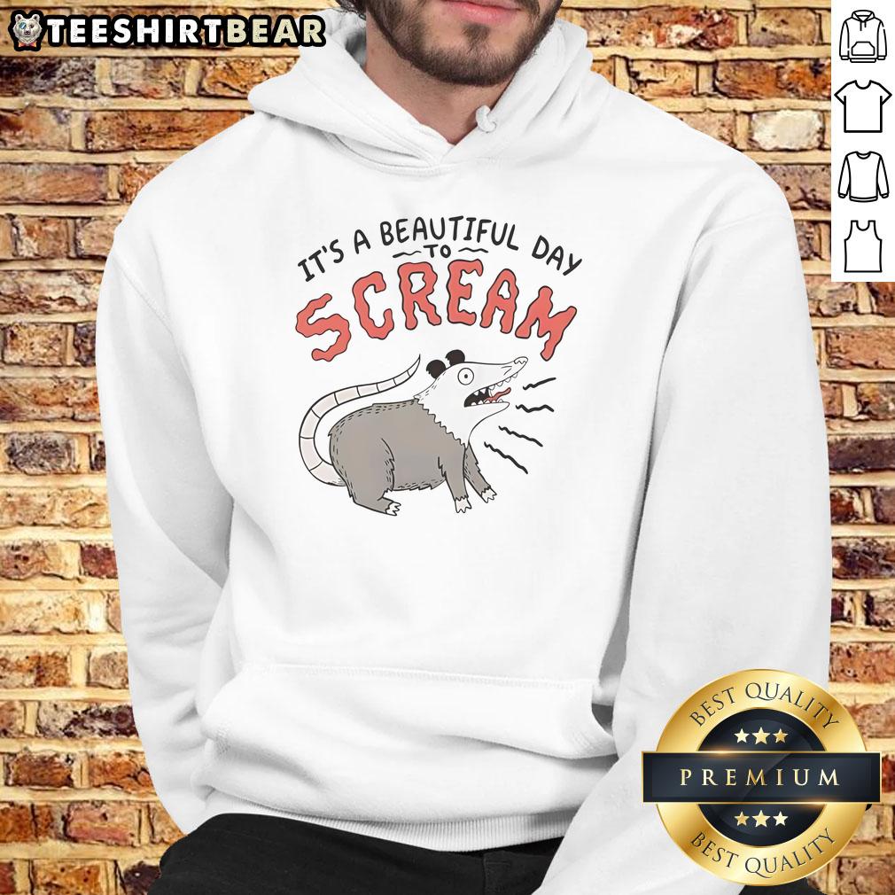 Top Screaming Possum It'S A Beautiful Day Hoodie