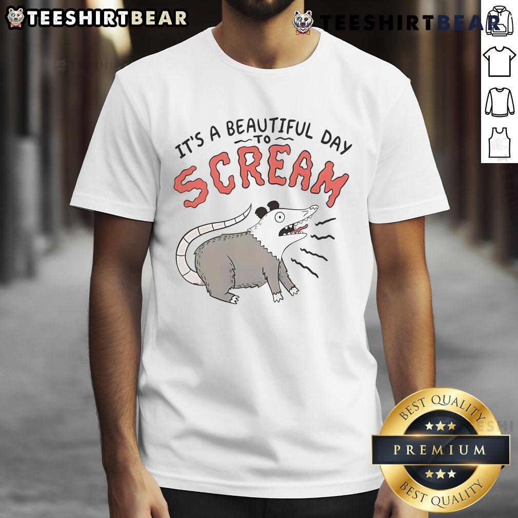 Top Screaming Possum It'S A Beautiful Day T Shirt