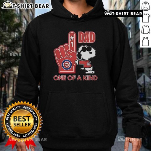 Unique Snoopy Chicago Cubs hoodie for dads, featuring a stylish design perfect for baseball fans and collectors.