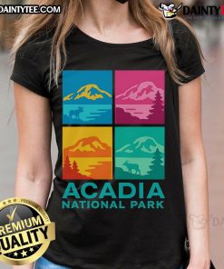 Awesome Acadia National Park Warhol style ladies tee featuring vibrant colors and iconic park imagery for nature lovers.