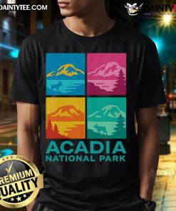 Awesome Acadia National Park Warhol Style T-Shirt featuring vibrant colors and iconic park imagery for nature lovers.