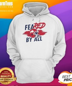 Awesome Buffalo Bills hoodie designed for fans, featuring bold team colors and logo, perfect for game day wear.