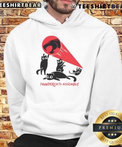 Awesome Thunder Cats Assemble Hoodie featuring vibrant graphics and a cozy design for fans of the classic animated series.