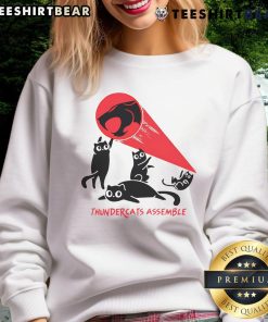 Awesome Thunder Cats Assemble Sweatshirt featuring vibrant graphics of iconic characters on a cozy fabric.