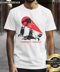 Awesome Thunder Cats Assemble T-Shirt featuring vibrant graphics of Thunder Cats characters in action.