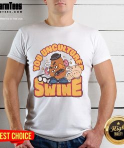 Alt Text: Awesome Toy Story Mr. Potato Head You Uncultured Swine T-Shirt design featuring vibrant colors and playful graphics.