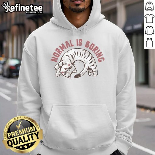 Adorable cat wearing a 'Normal is So Boring' hoodie, showcasing a trendy and playful feline fashion style.