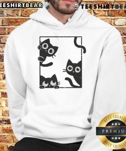 Adorable cats featured on a Cute Felines in Frame hoodie, perfect for feline lovers and cozy fashion enthusiasts.
