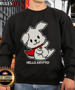 Cute Hello Krypto the Superdog sweatshirt featuring vibrant colors and playful design for dog lovers.