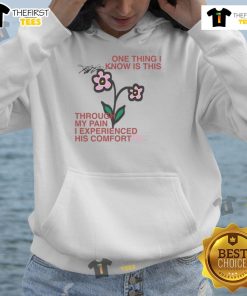Alt Text: Comfort hoodie featuring the phrase 'Through my pain, I experienced His comfort' - a cute reminder of resilience.