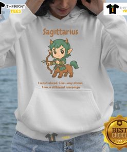 Alt Text: Cute Sagittarius centaur hoodie featuring a playful design, perfect for astrology lovers and cozy fashion enthusiasts.