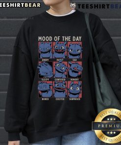 Cute Viking dragon sweatshirt inspired by Toothless from How to Train Your Dragon, perfect for fans and cozy wear.