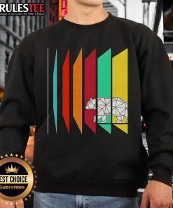 Adorable Cute Wild Geometry Bear Sweatshirt featuring a colorful bear design, perfect for casual and cozy outfits.