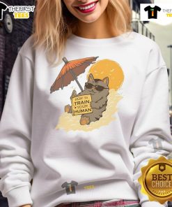 Funny cat sweatshirt titled 'How to Train Your Human' featuring a playful cat design, perfect for cat lovers and humor fans.