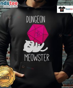 Funny Dungeon Meowster nerdy cat hoodie featuring a playful feline design, perfect for cat lovers and gamers.