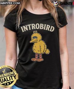 Funny Introbird Ladies Tee featuring a whimsical bird design, perfect for casual wear and showcasing your unique style.
