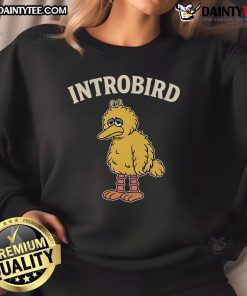 Funny Introbird sweatshirt featuring a quirky bird design, perfect for casual wear and making a statement.