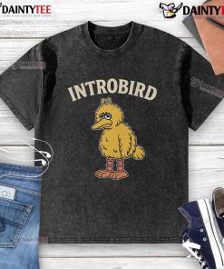 Funny Introbird washed t-shirt featuring a quirky design, perfect for casual wear and showcasing a playful style.