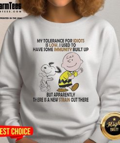 Alt Text: Funny Snoopy and Charlie Brown sweatshirt featuring My Tolerance for Idiots is Low graphic design.