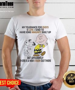 Alt Text: Funny Snoopy and Charlie Brown graphic on a t-shirt with the phrase My Tolerance For Idiots Is Low.
